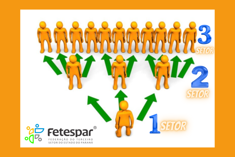 O que é terceiro setor?